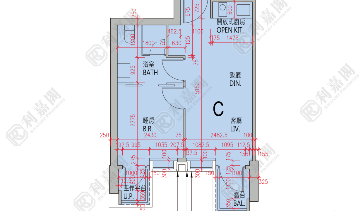 88891_2000_Ricacorp-1.png