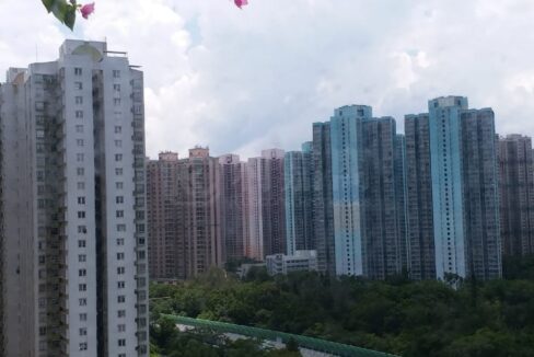 e198a661-c07d-4294-b502-e77c6718a859.jpeg