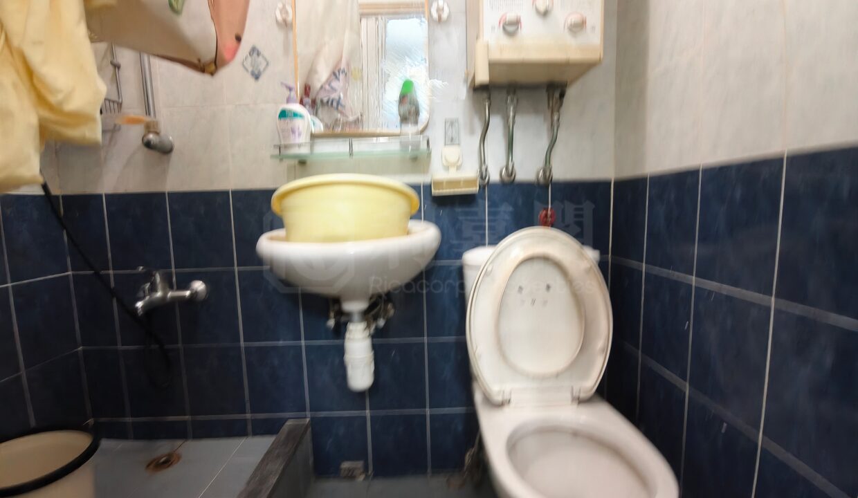 070a3672-0e4e-4e37-95c7-015408d62fe2.jpeg