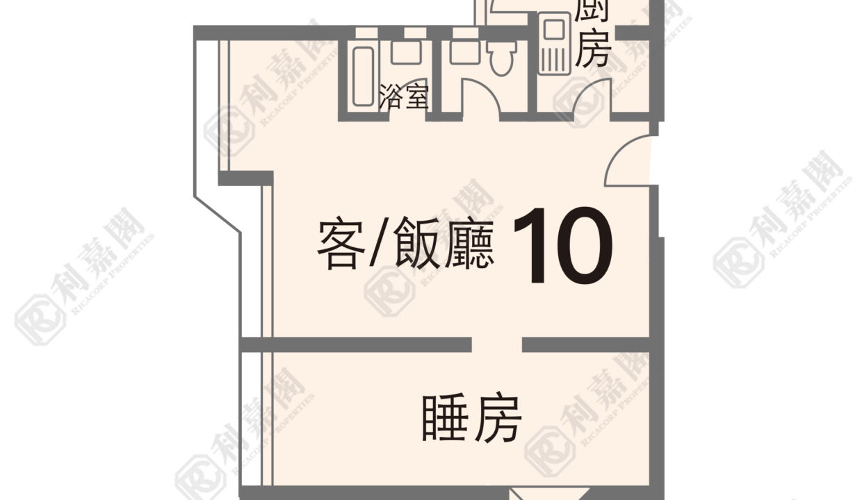 104137_2000_Ricacorp.png
