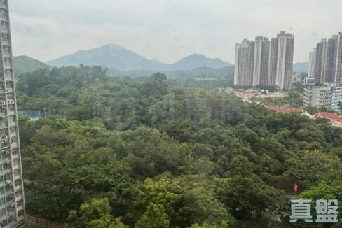 ffbd77a6-a32a-4c1e-b17a-658a9a755ab4.jpeg