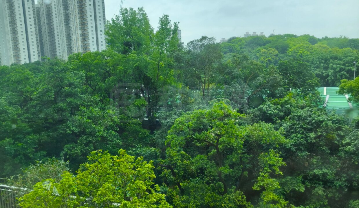 2efc8f2b-ddf4-4c4c-850f-c7481f69bbe6.jpeg