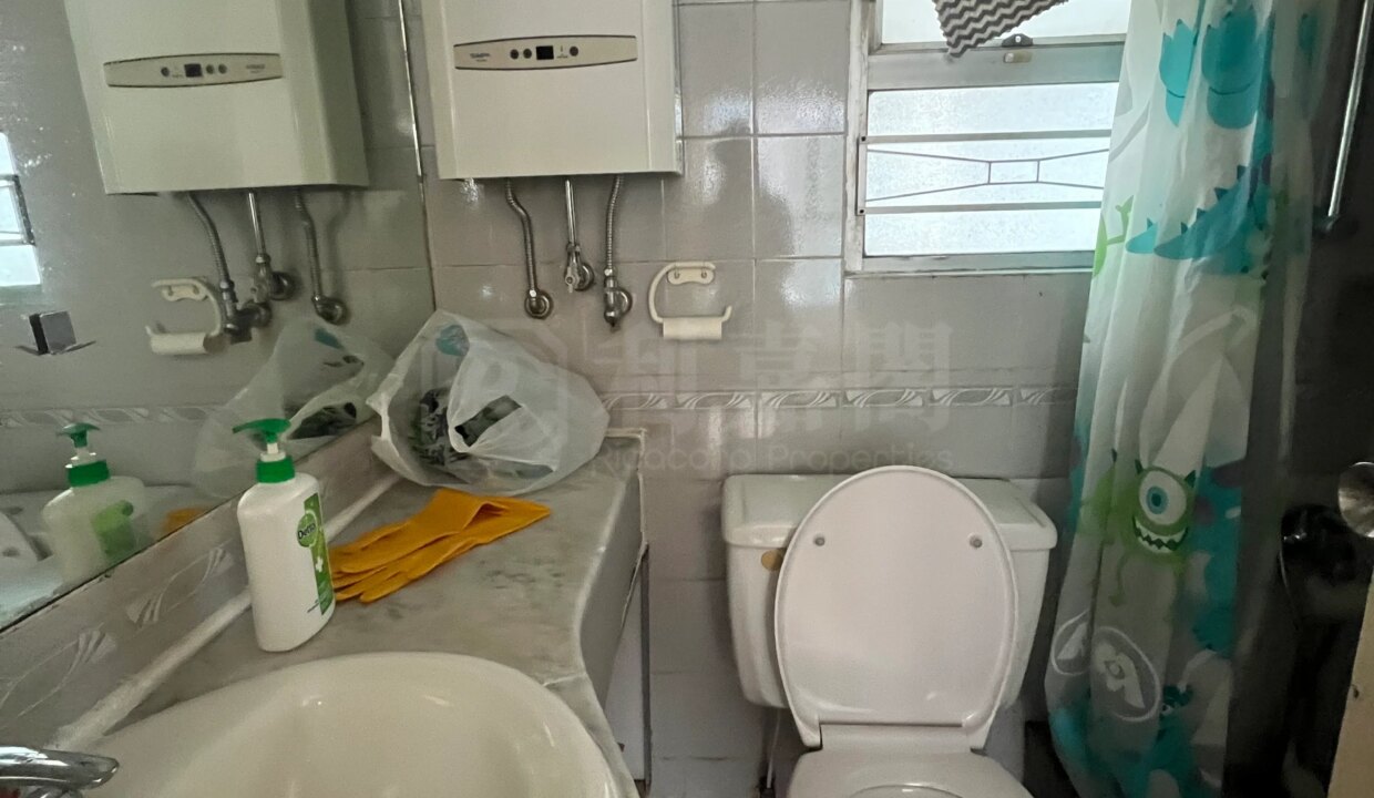 37908239-817e-4d70-9e9d-a4a9c0824fea.jpeg