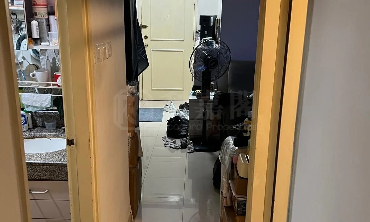 b76aae20-dc0c-4623-8272-55c002a03c60.jpeg