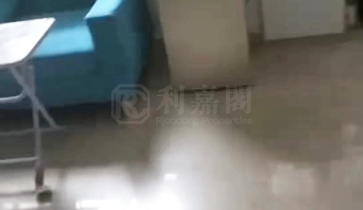 c4738c56-92e2-47f1-ae66-6bce79f44207.jpeg