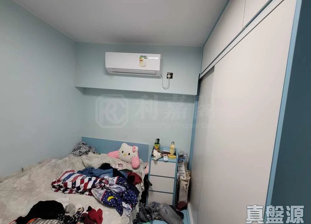 e30254fe-9924-4c98-a5d4-fb4b7ef0ec2e.jpeg