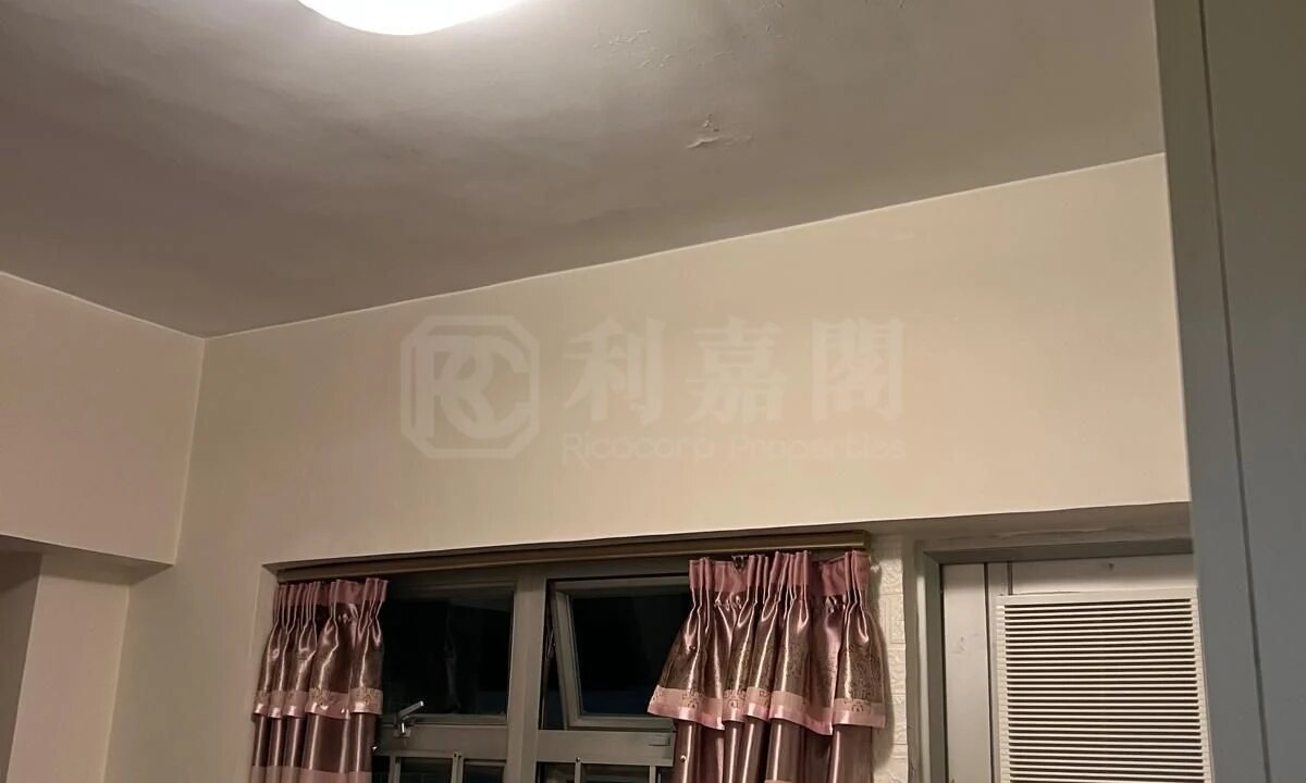 e5371fcb-1d65-41d4-b33a-1f65083b601c.jpeg