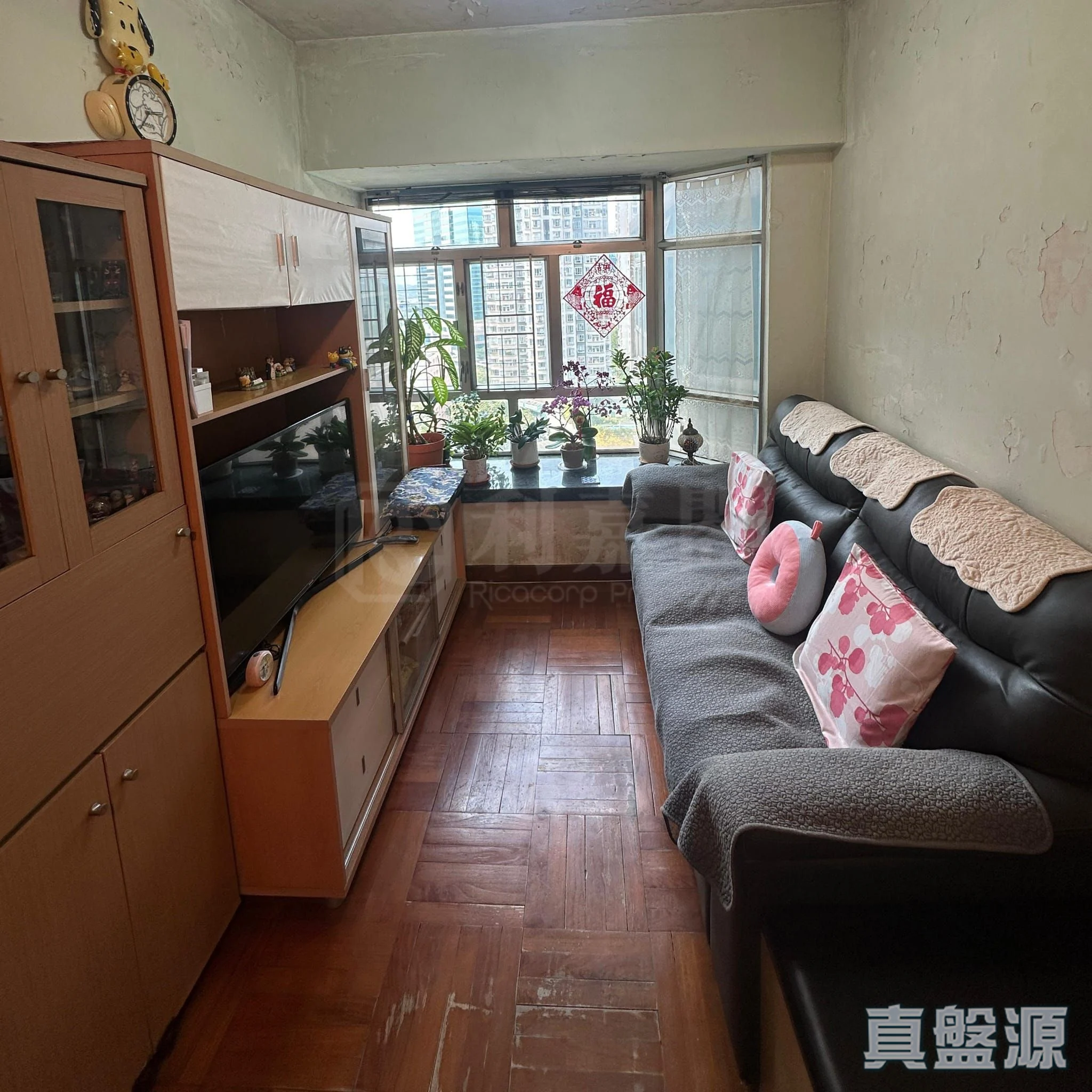 上水中心 5座