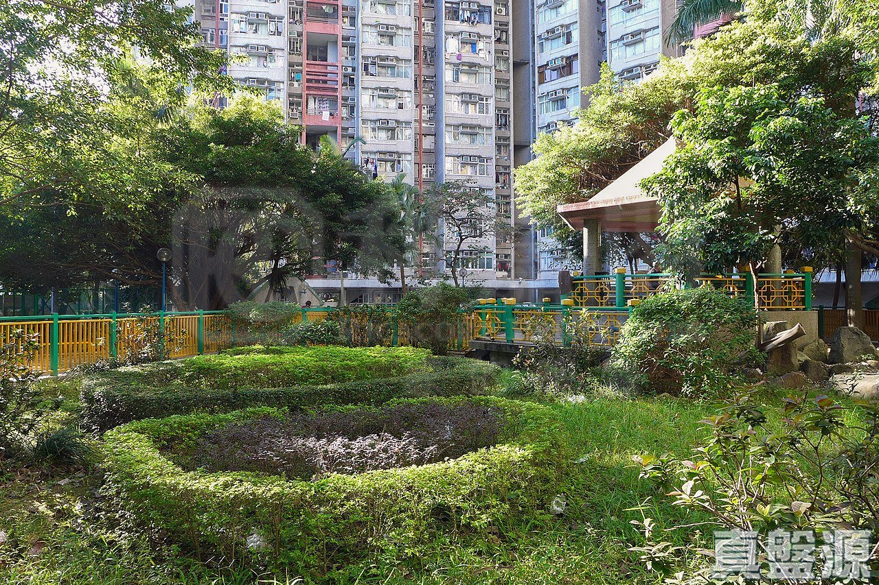 天平邨 天賀樓 (3座)高層 5室