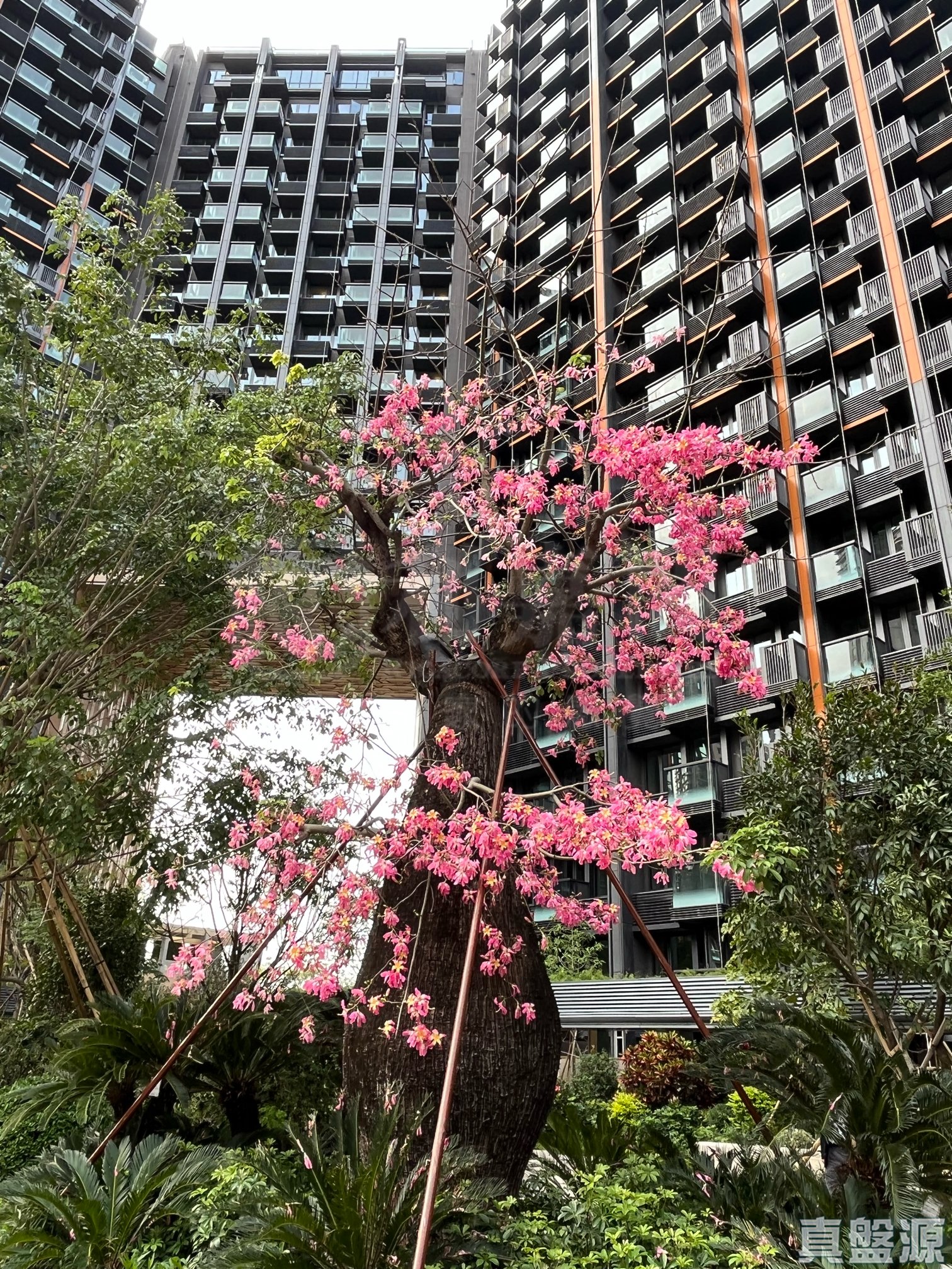 ONE INNOVALE 1期 B座高層 19室