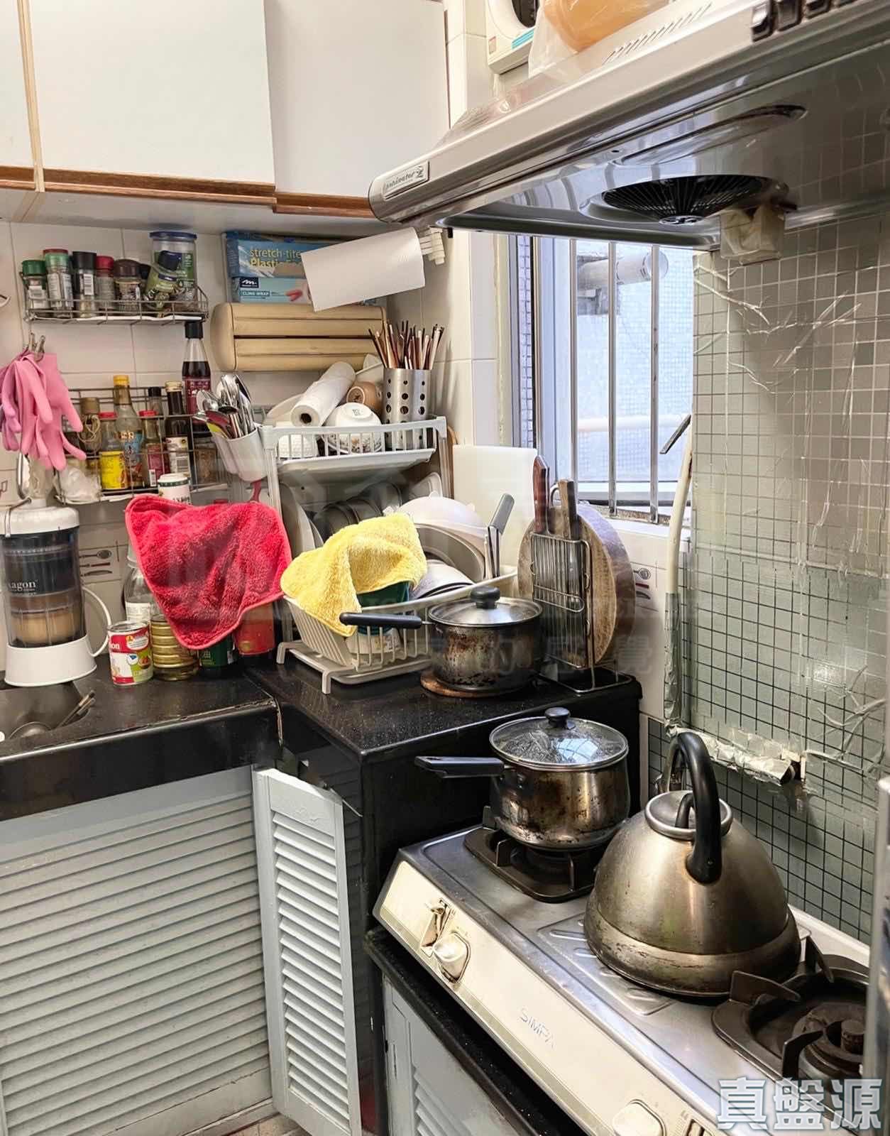 粉嶺中心 1期 E座極高層 5室