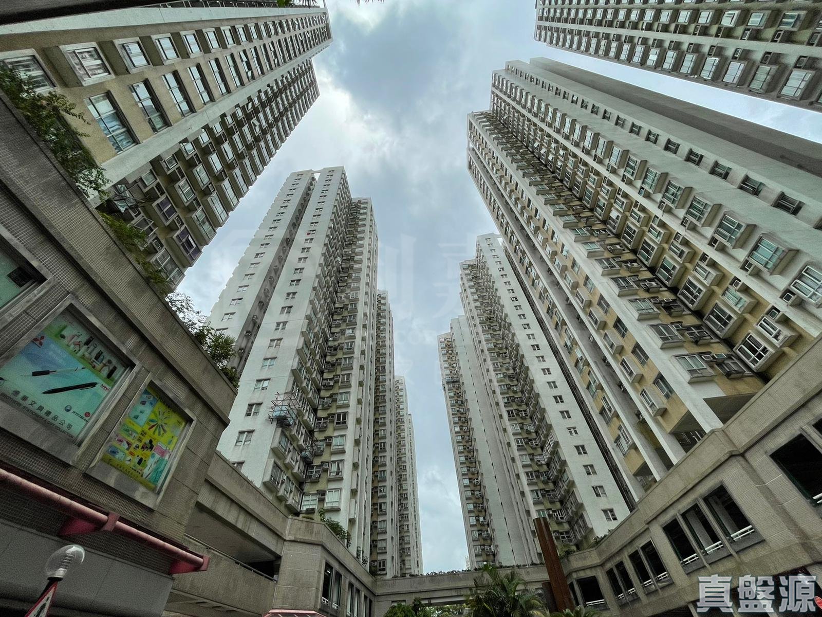 粉嶺中心 1期 B座中層 3室