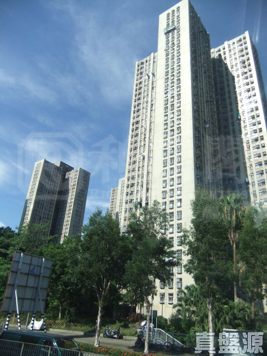 彩蒲苑 彩晶閣 (B座)低層 10室