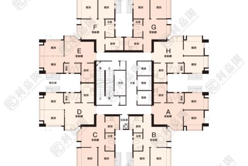103381_2000_Ricacorp.png