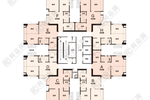 103388_2000_Ricacorp.png