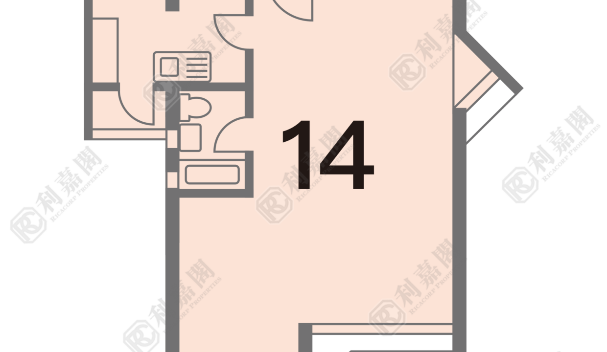 104131_2000_Ricacorp-1.png