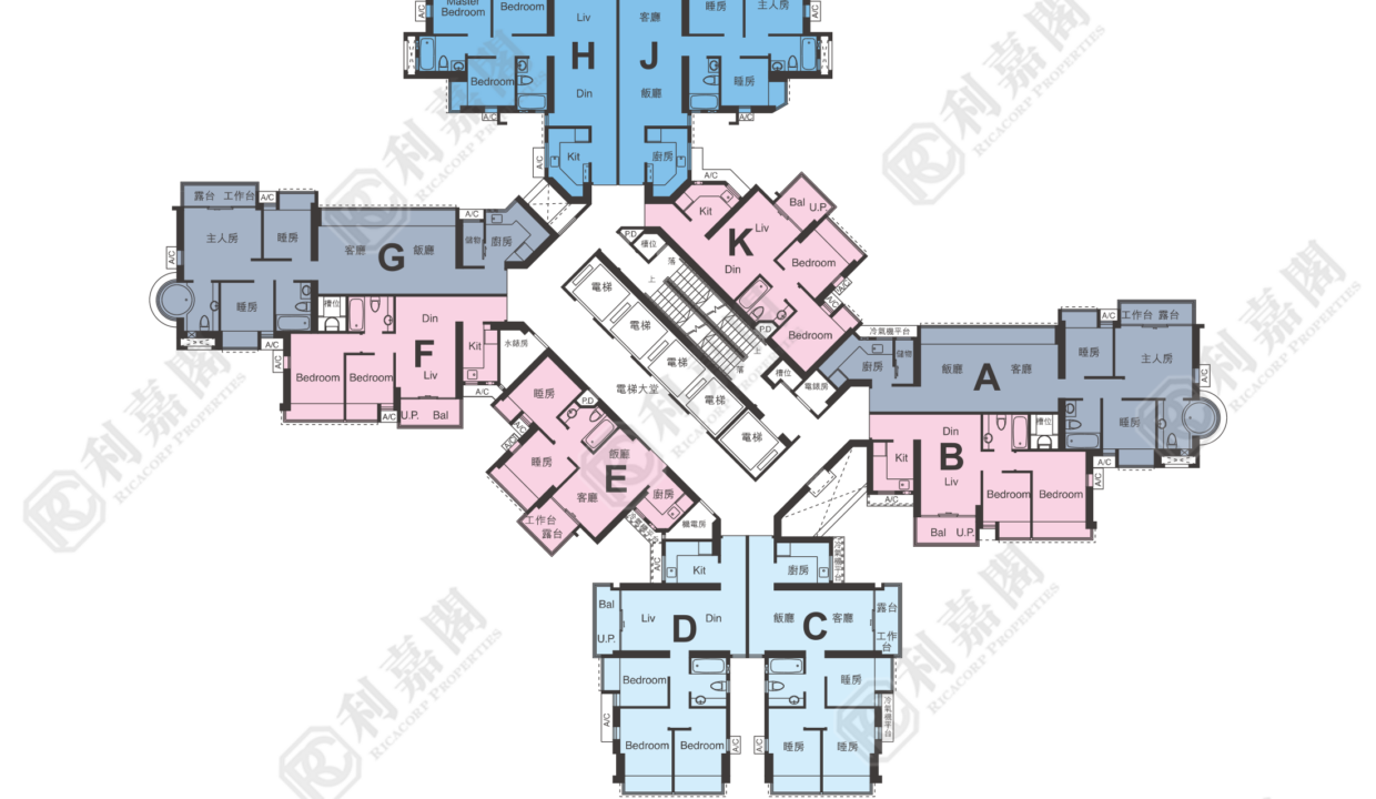 117232_2000_Ricacorp.png