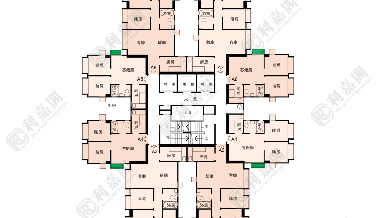 117640_2000_Ricacorp.png