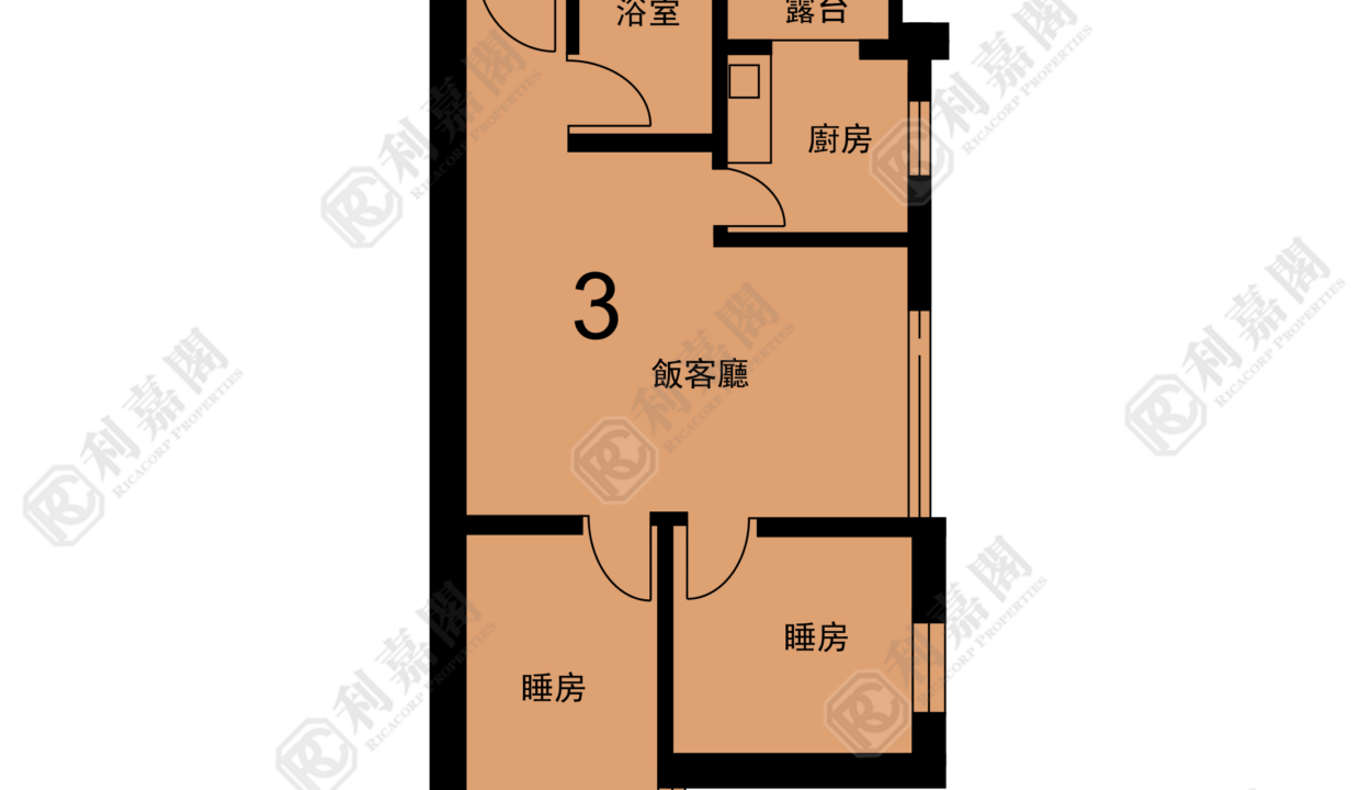 119297_2000_Ricacorp-1.png