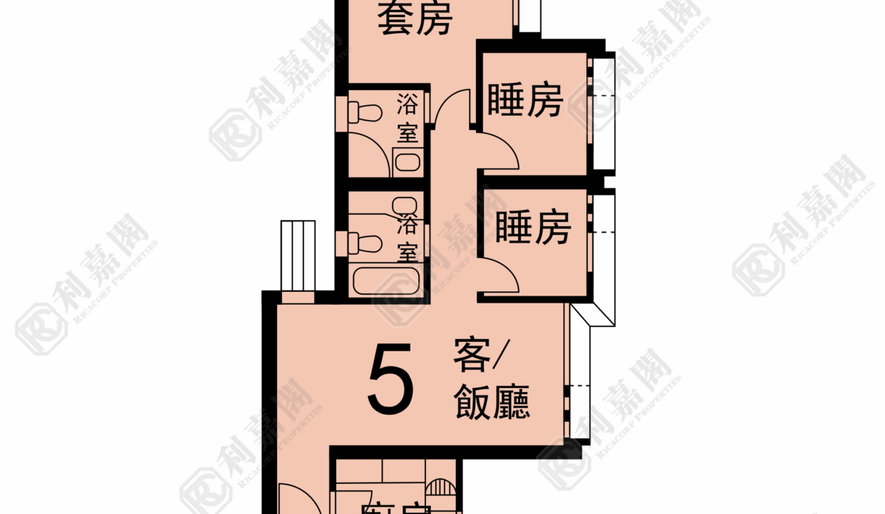 124369_2000_Ricacorp.png