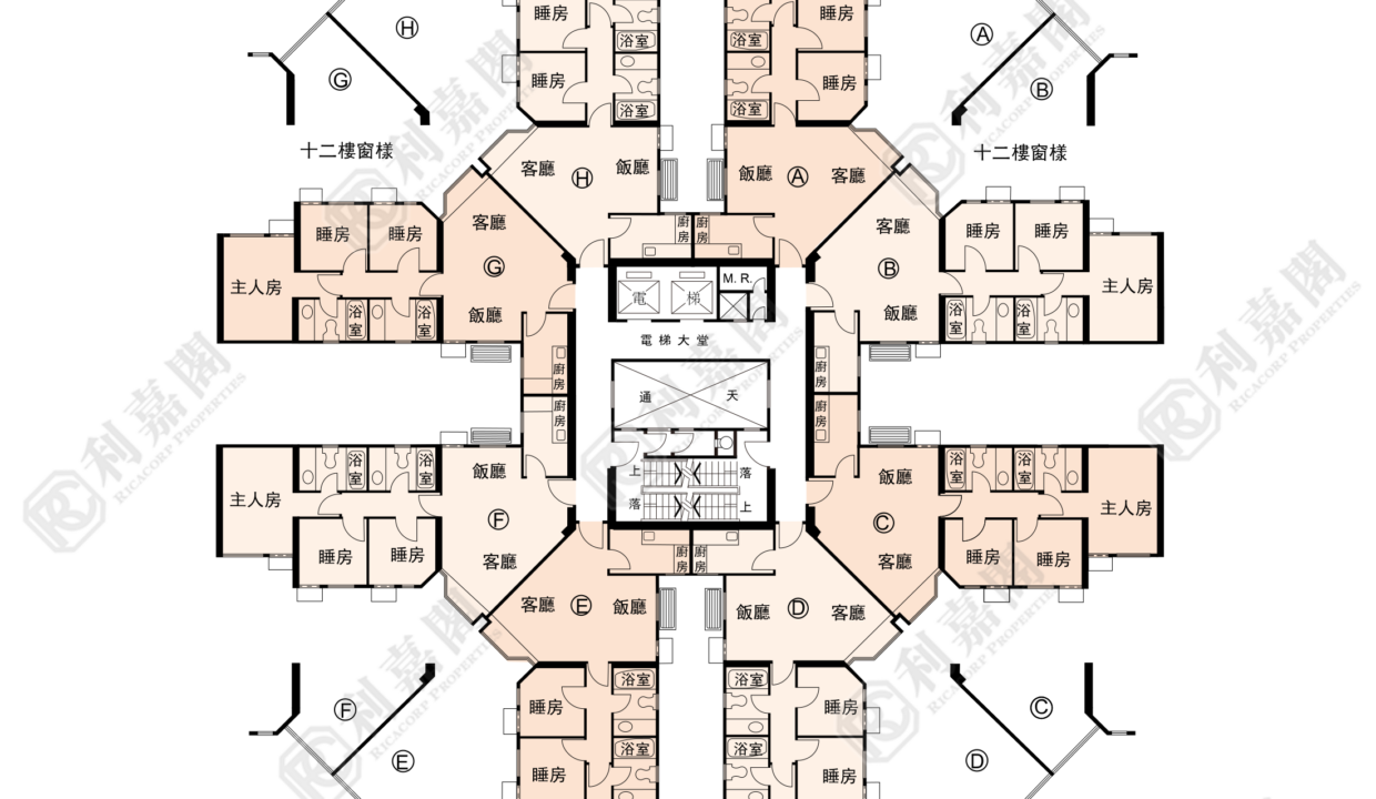 137459_2000_Ricacorp.png