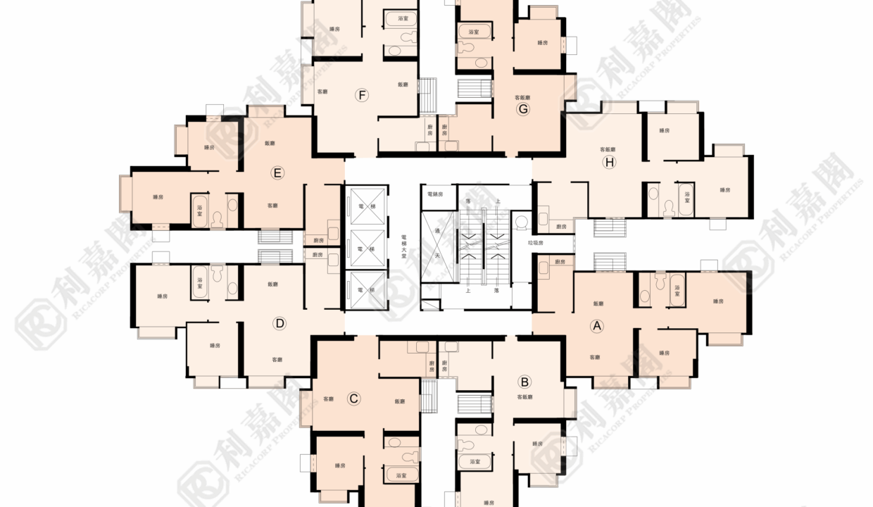 143816_2000_Ricacorp.png