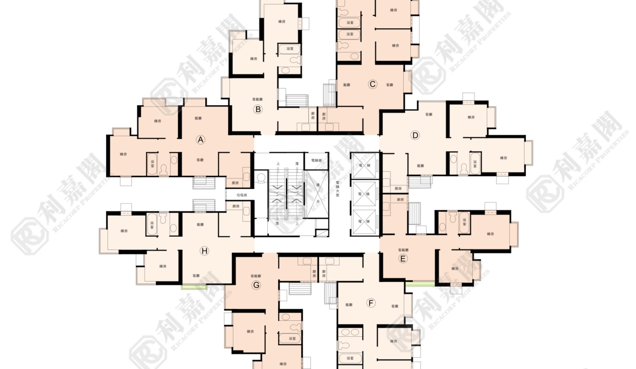 143817_2000_Ricacorp.png