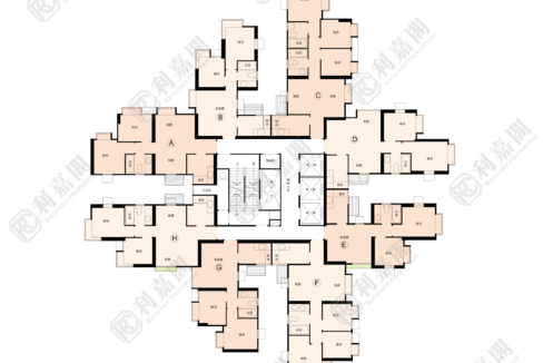 143817_2000_Ricacorp.png