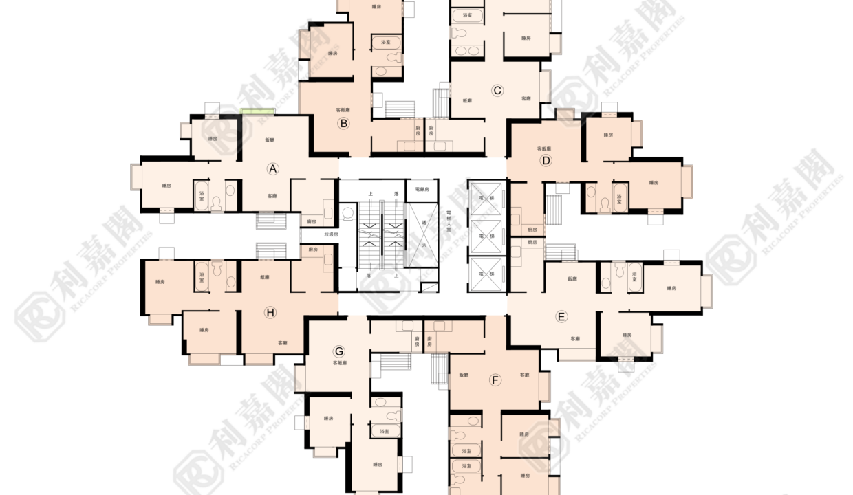 143818_2000_Ricacorp.png