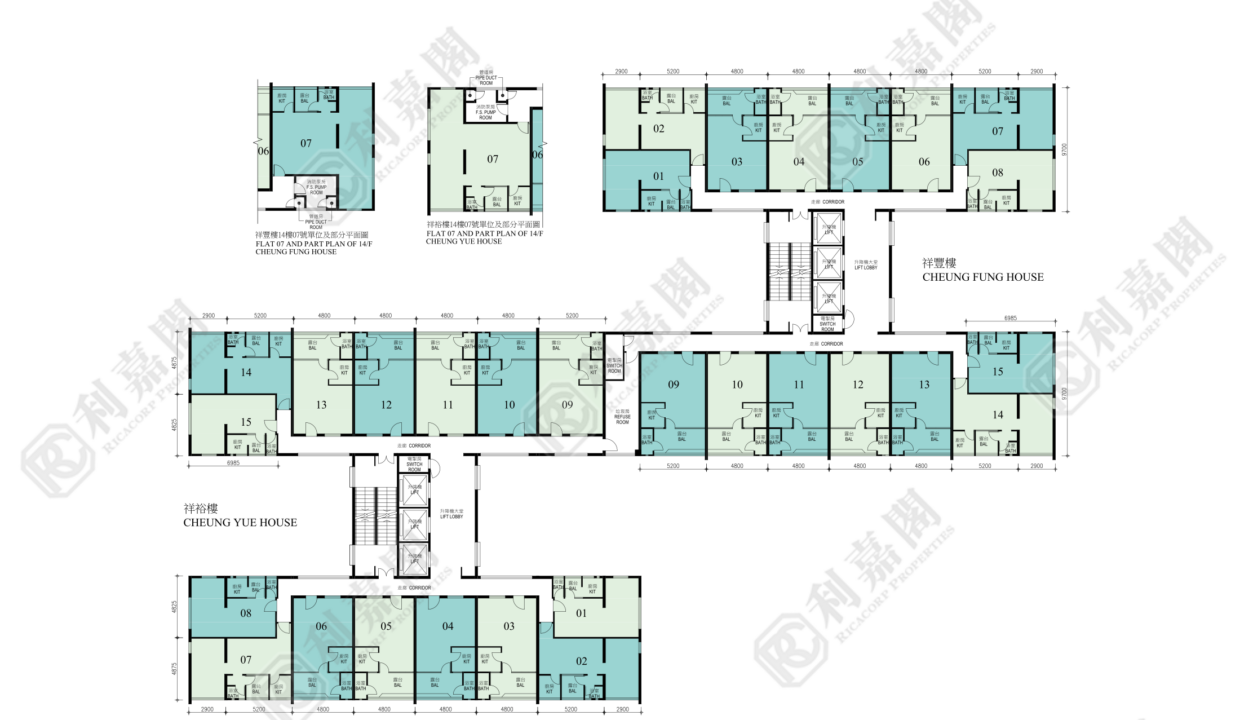 156305_2000_Ricacorp-1.png