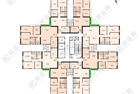174171_2000_Ricacorp.png