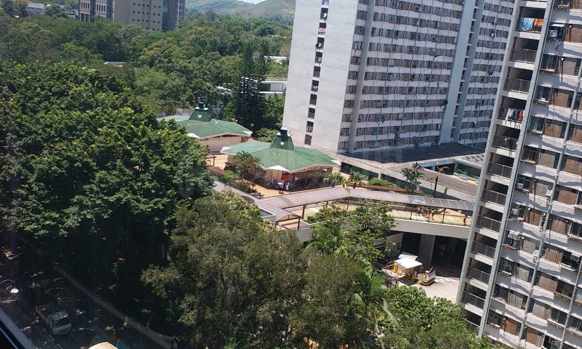 272a3c1a-a2e4-4252-b1b5-61313b051d7d-1.jpeg