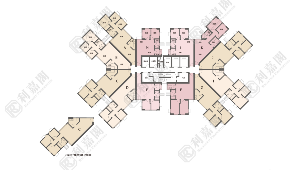 35252_2000_Ricacorp.png