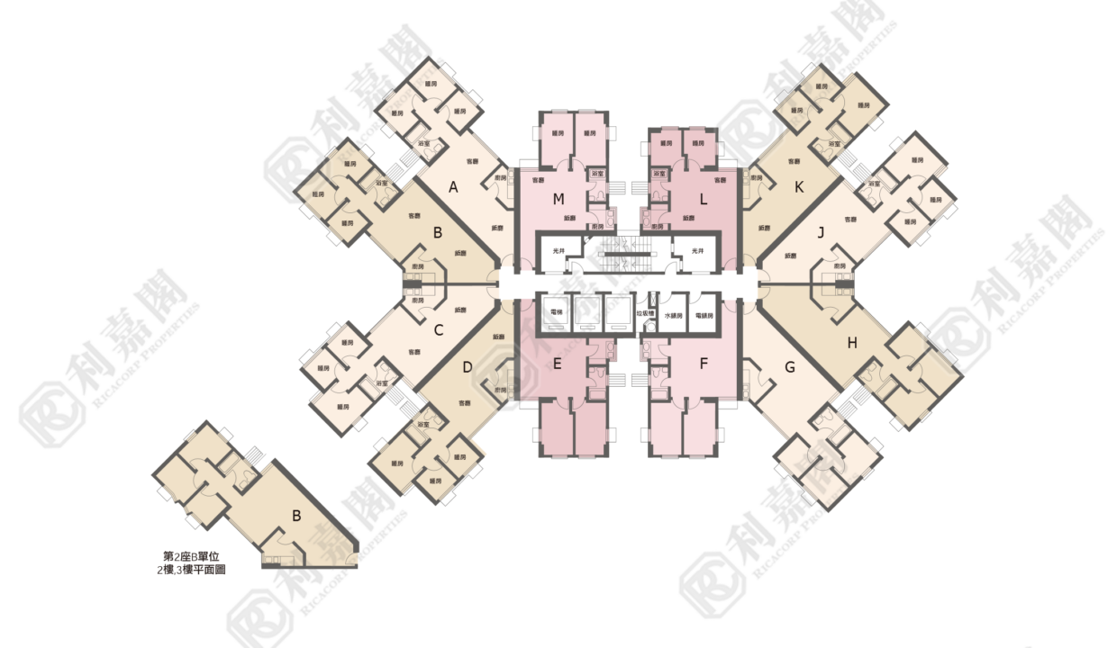 35313_2000_Ricacorp.png
