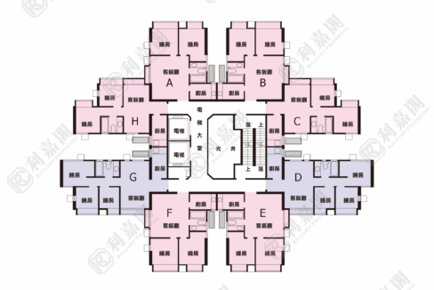 35562_2000_Ricacorp.png