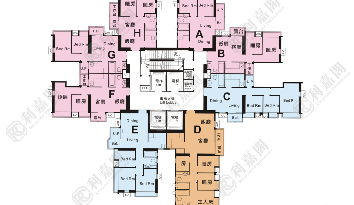 37014_2000_Ricacorp.png