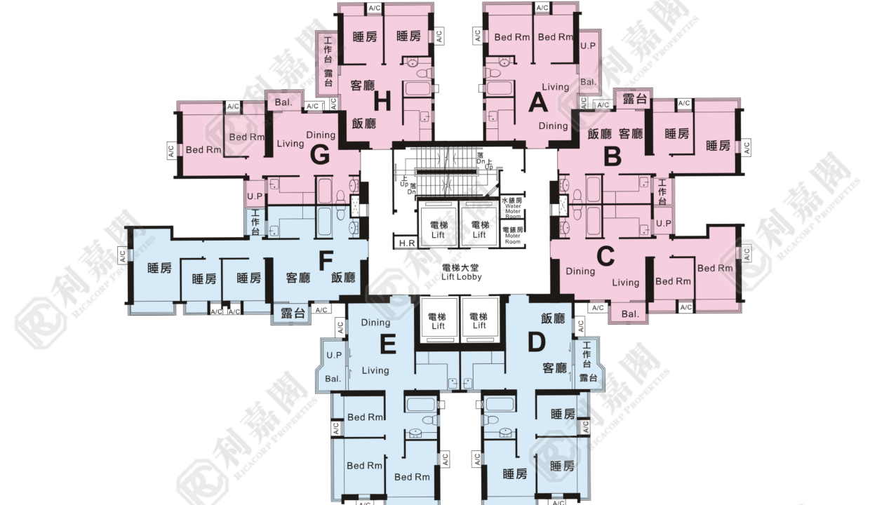 37016_2000_Ricacorp.png
