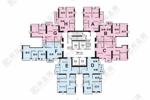 37016_2000_Ricacorp.png