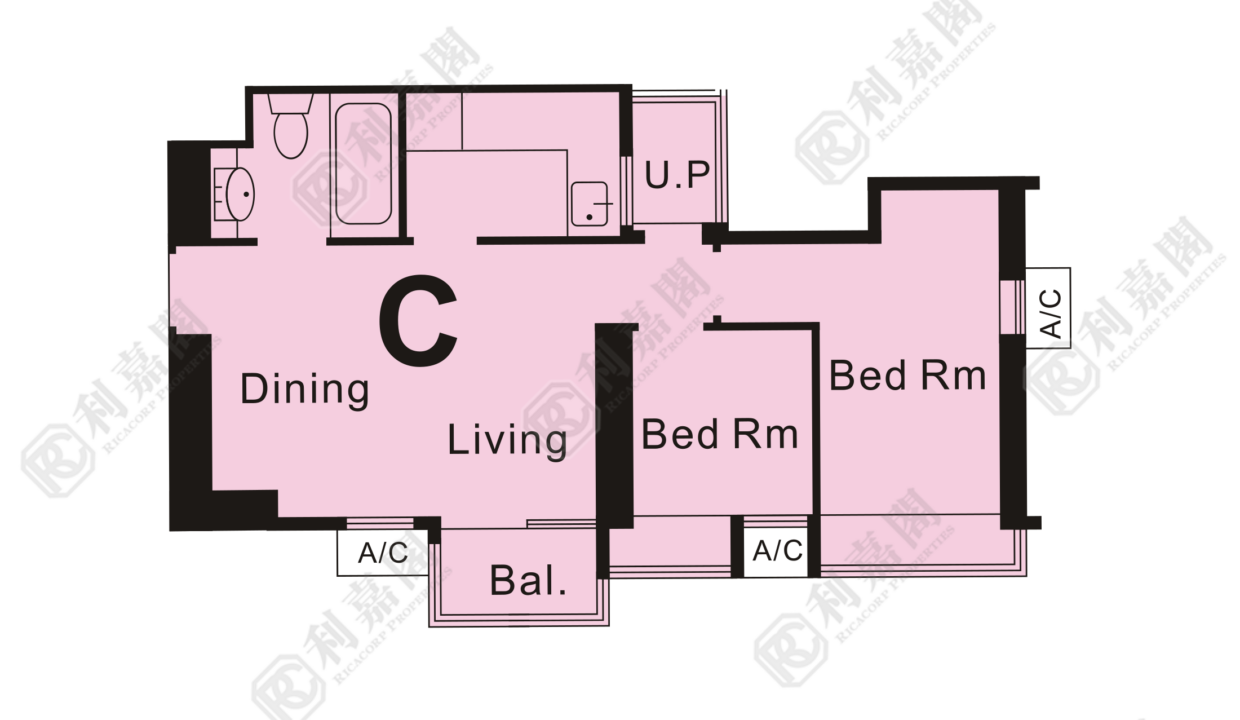37124_2000_Ricacorp.png
