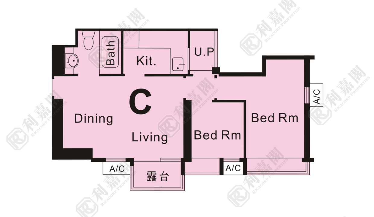 37673_2000_Ricacorp.png