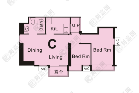 37673_2000_Ricacorp.png