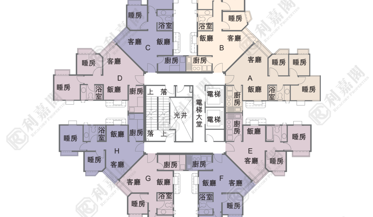 38981_2000_Ricacorp.png
