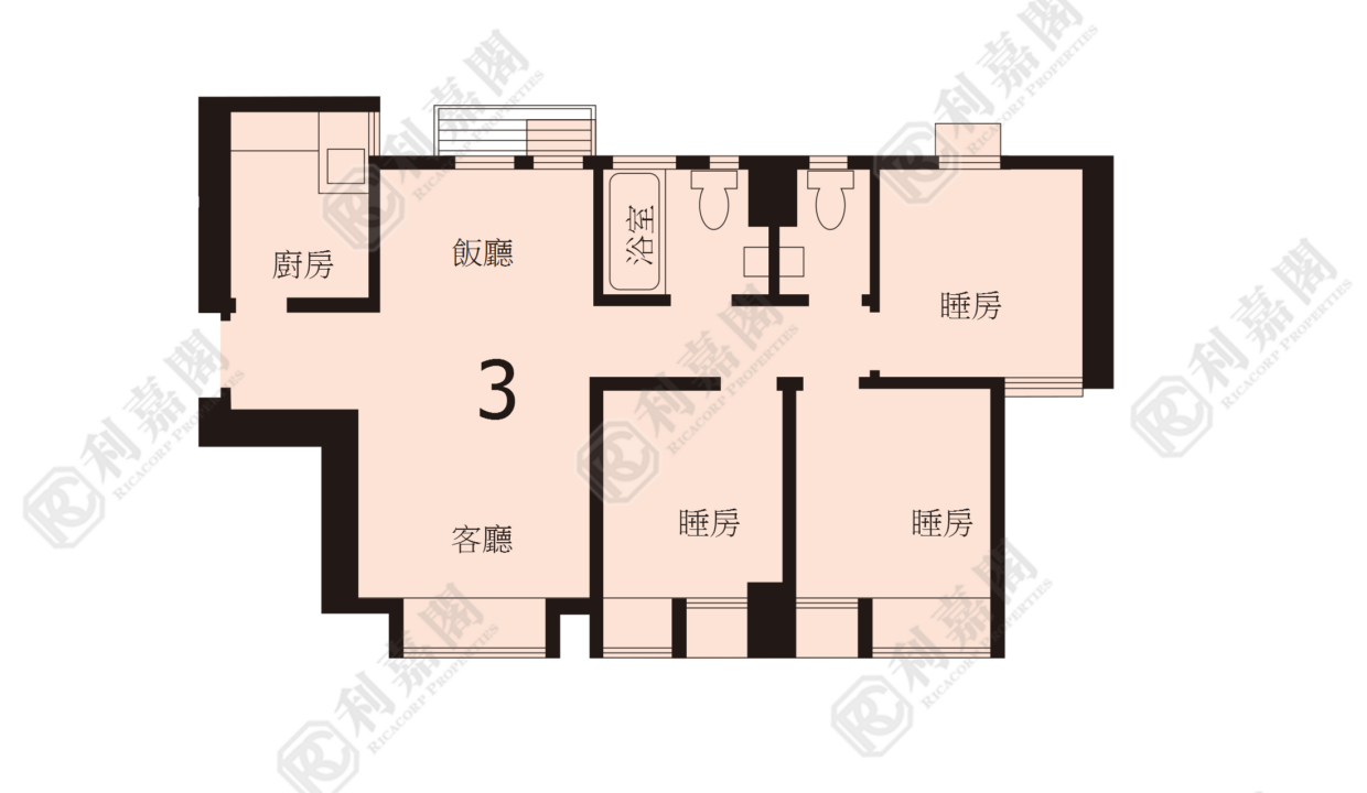 40589_2000_Ricacorp.png