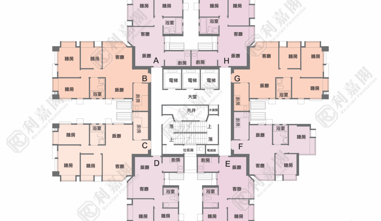 44005_2000_Ricacorp.png