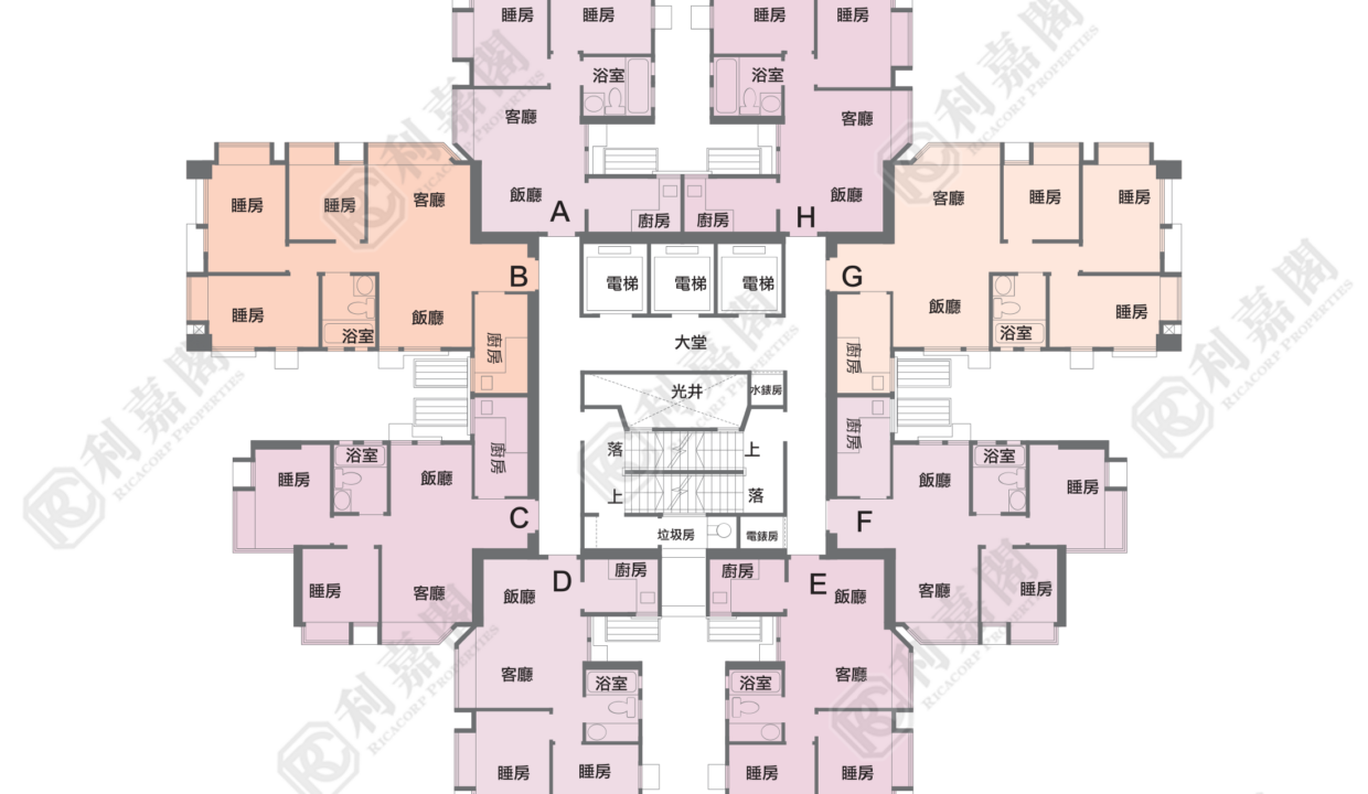 44006_2000_Ricacorp.png