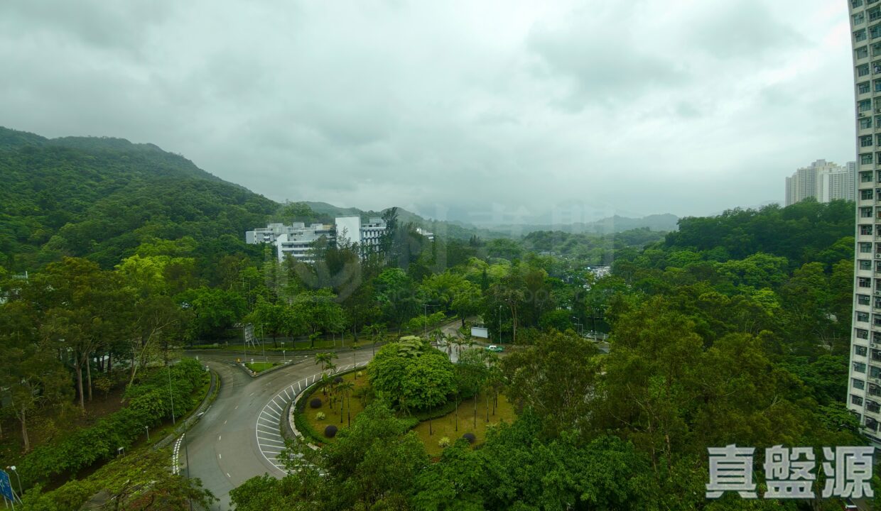 4c020a9d-868b-4b18-933c-4a137e1324ff.jpeg