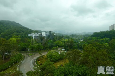 4c020a9d-868b-4b18-933c-4a137e1324ff.jpeg