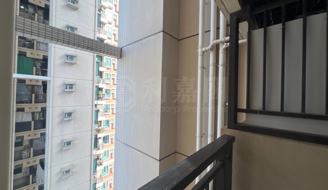 52fe865b-97ba-440a-8b77-5562454047ab.jpeg