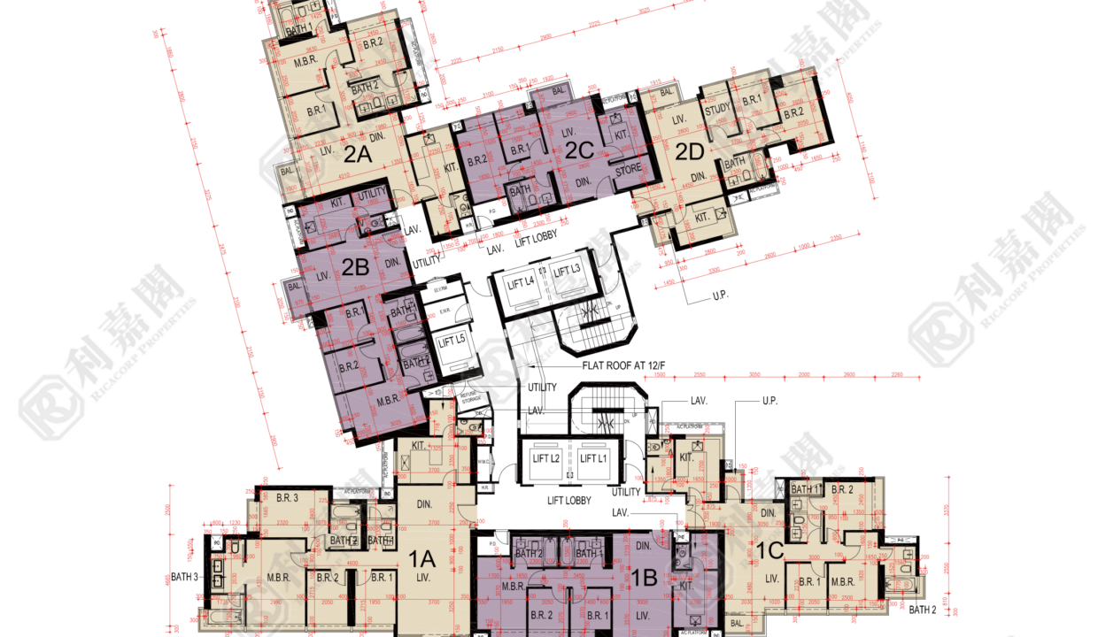78058_2000_Ricacorp-1.png