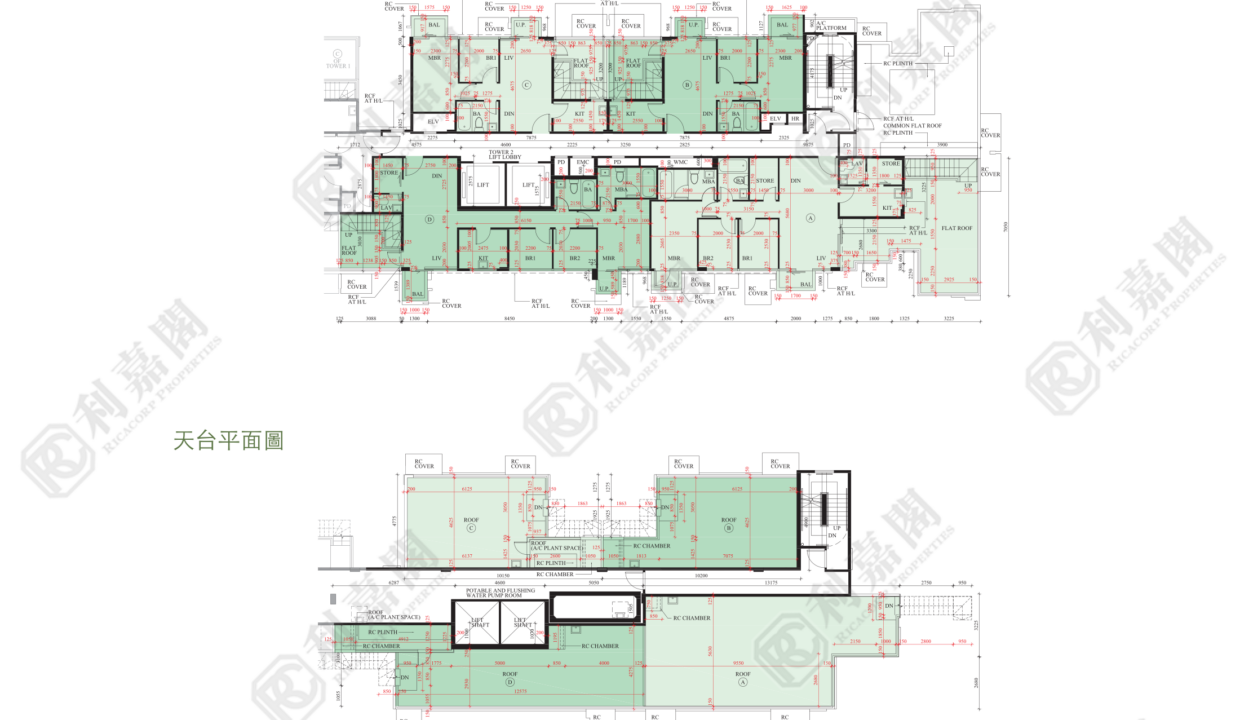 79127_2000_Ricacorp-1.png